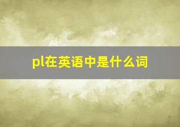 pl在英语中是什么词