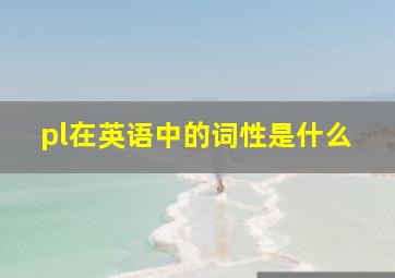 pl在英语中的词性是什么