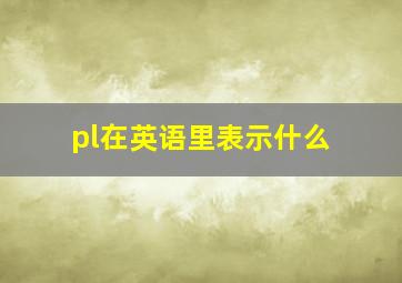 pl在英语里表示什么