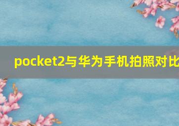 pocket2与华为手机拍照对比