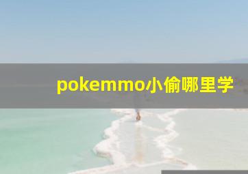 pokemmo小偷哪里学