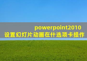 powerpoint2010设置幻灯片动画在什选项卡操作