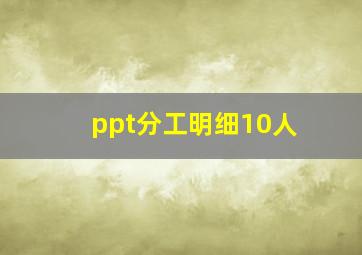 ppt分工明细10人