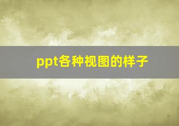 ppt各种视图的样子