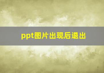 ppt图片出现后退出