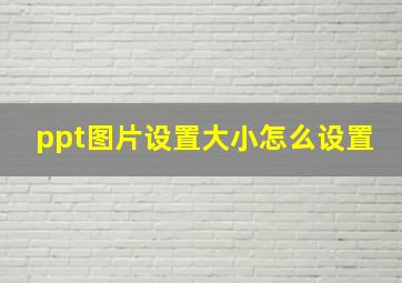 ppt图片设置大小怎么设置