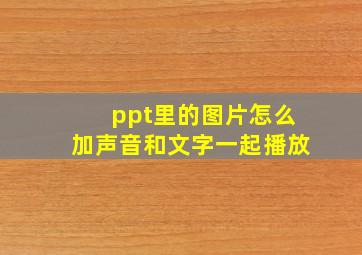 ppt里的图片怎么加声音和文字一起播放