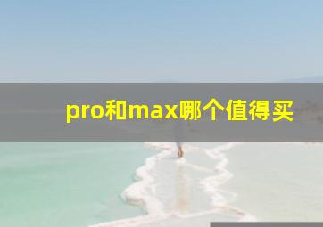 pro和max哪个值得买