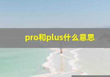 pro和plus什么意思