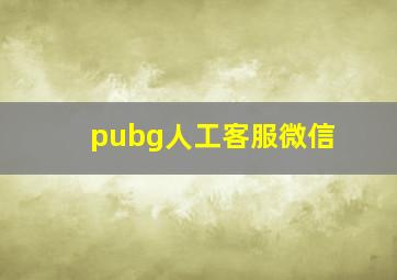 pubg人工客服微信