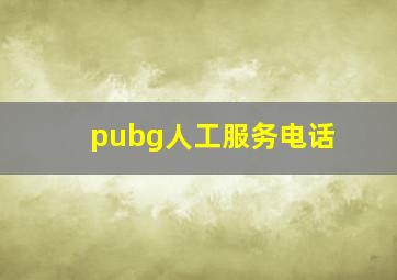 pubg人工服务电话