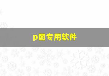 p图专用软件