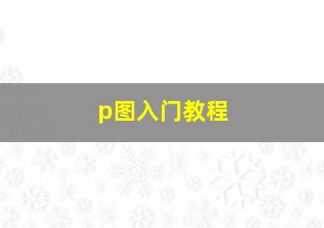 p图入门教程