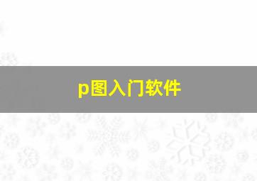 p图入门软件