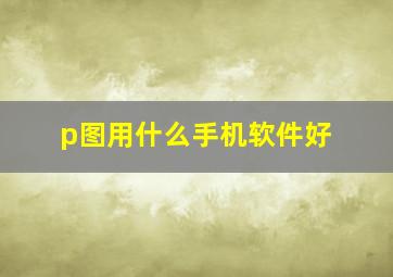 p图用什么手机软件好