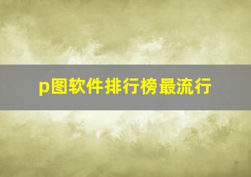 p图软件排行榜最流行