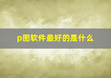 p图软件最好的是什么