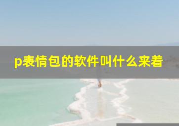 p表情包的软件叫什么来着