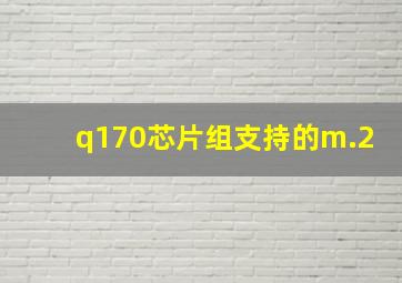 q170芯片组支持的m.2