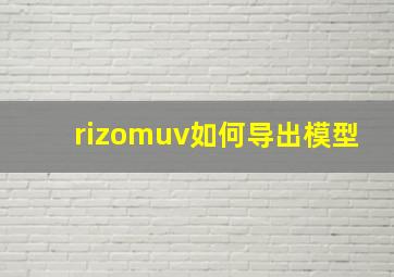 rizomuv如何导出模型