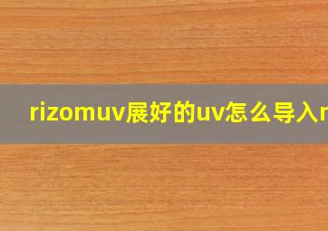 rizomuv展好的uv怎么导入max