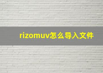 rizomuv怎么导入文件