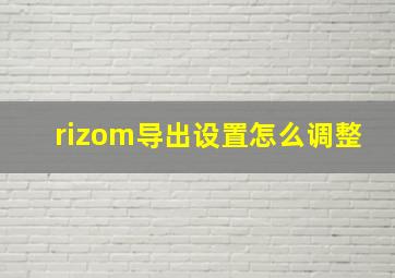 rizom导出设置怎么调整