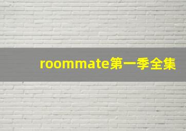 roommate第一季全集