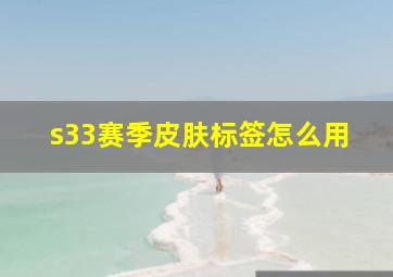 s33赛季皮肤标签怎么用