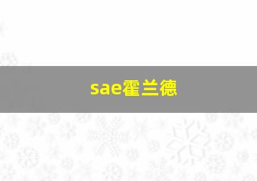 sae霍兰德