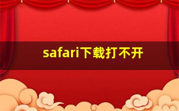 safari下载打不开