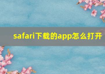 safari下载的app怎么打开