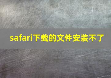 safari下载的文件安装不了