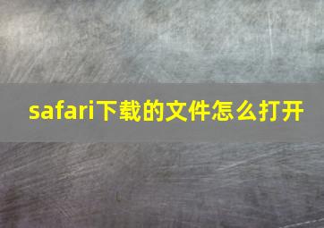 safari下载的文件怎么打开