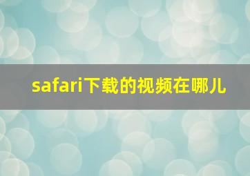 safari下载的视频在哪儿