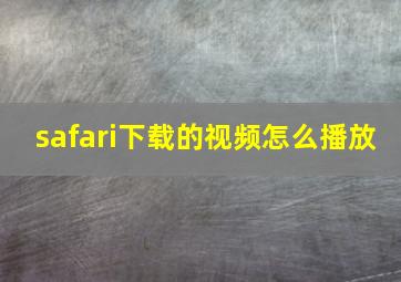 safari下载的视频怎么播放