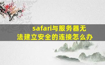 safari与服务器无法建立安全的连接怎么办