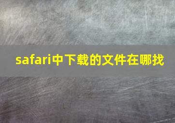 safari中下载的文件在哪找