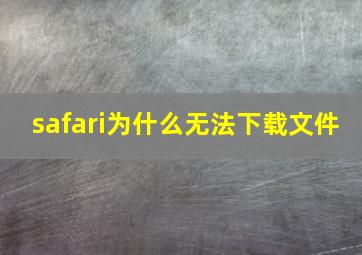 safari为什么无法下载文件