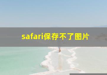 safari保存不了图片