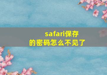 safari保存的密码怎么不见了