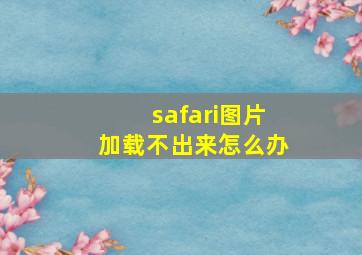 safari图片加载不出来怎么办