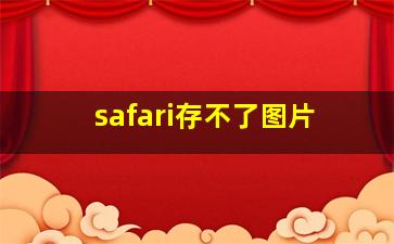 safari存不了图片