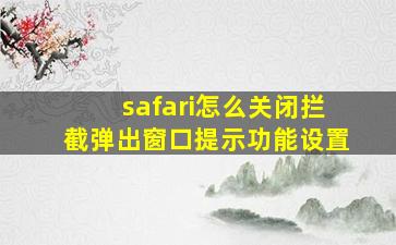 safari怎么关闭拦截弹出窗口提示功能设置