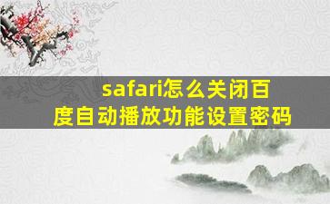 safari怎么关闭百度自动播放功能设置密码