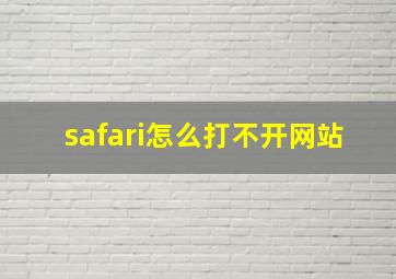 safari怎么打不开网站