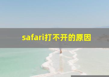 safari打不开的原因