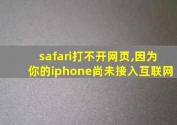 safari打不开网页,因为你的iphone尚未接入互联网