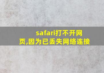 safari打不开网页,因为已丢失网络连接