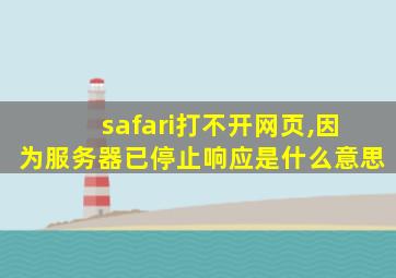 safari打不开网页,因为服务器已停止响应是什么意思